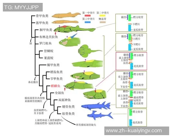 足球制作的全流程揭秘从原材料到成品的每一步详解